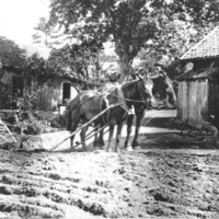 http://omeka.deichman.no/archive/import/B20040247.jpg